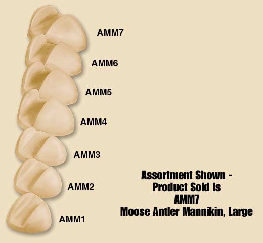 AMM7