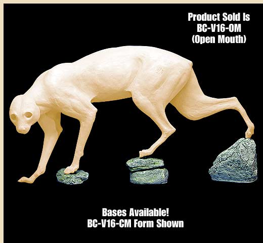 BC-V16-OM