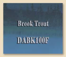 DABK100F