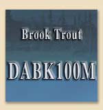 DABK100M