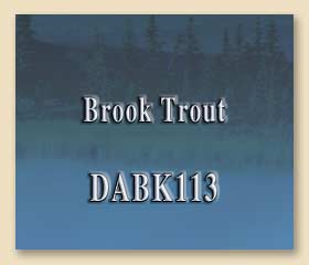 DABK113