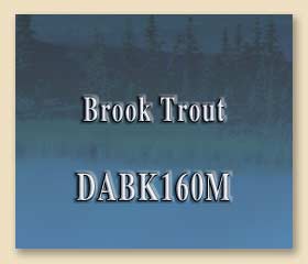 DABK160M
