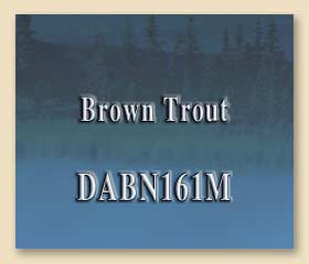DABN161M