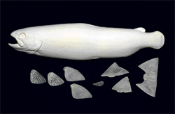 DAR141CM