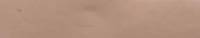 19-1006