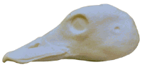 2-K127