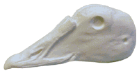 2-K129