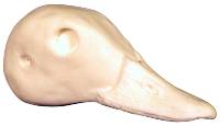 2-K139
