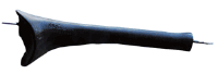WN31