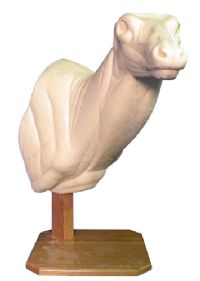 3-5196
