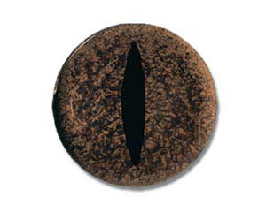 RS34CT