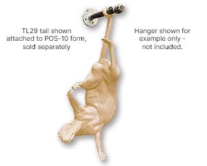 TL29