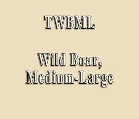 TWBML